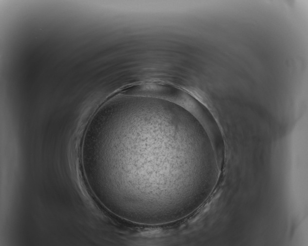 X0000089690097200706281423