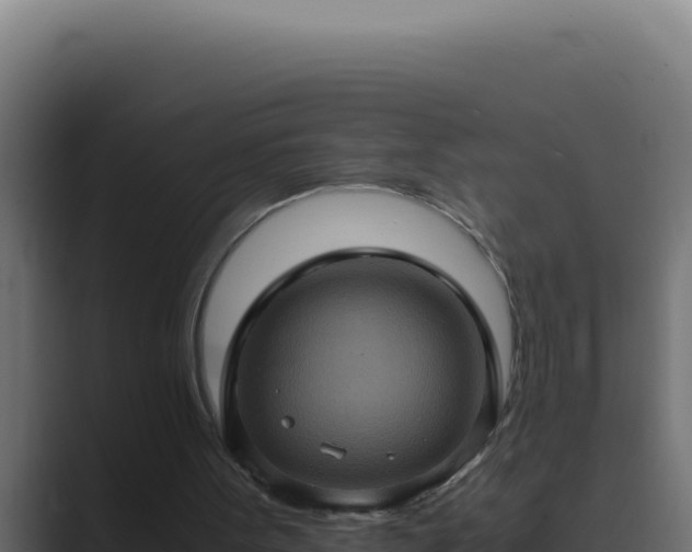 X0000089690099200706281423