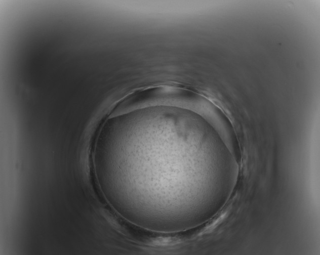 X0000089690101200706281423