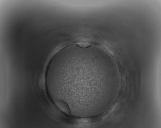 X0000089690102200706281423