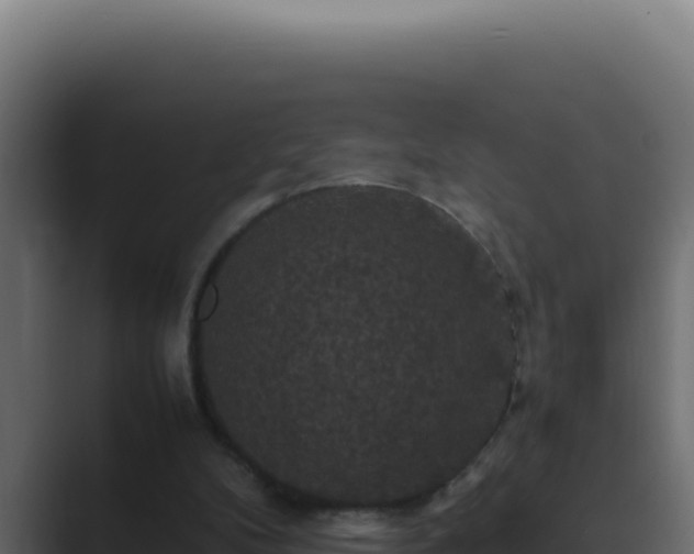 X0000089690104200706281423