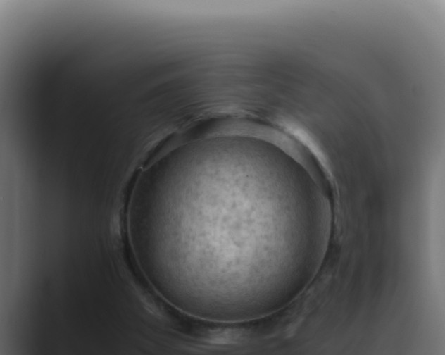 X0000089690105200706281423