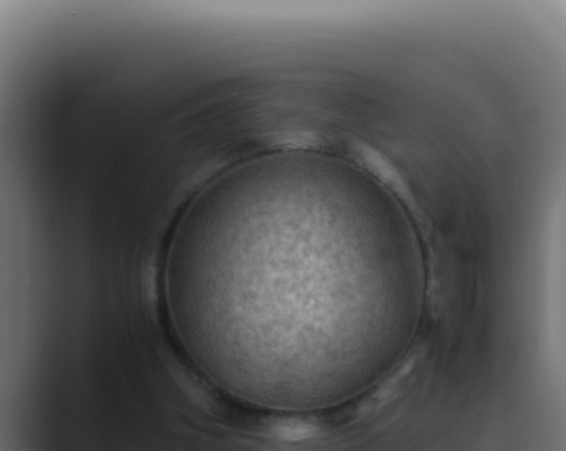 X0000089690106200706281423