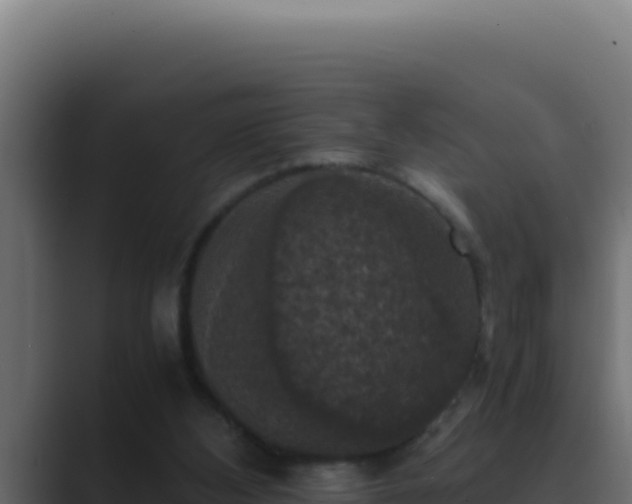 X0000089690108200706281423