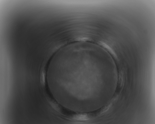 X0000089690110200706281423