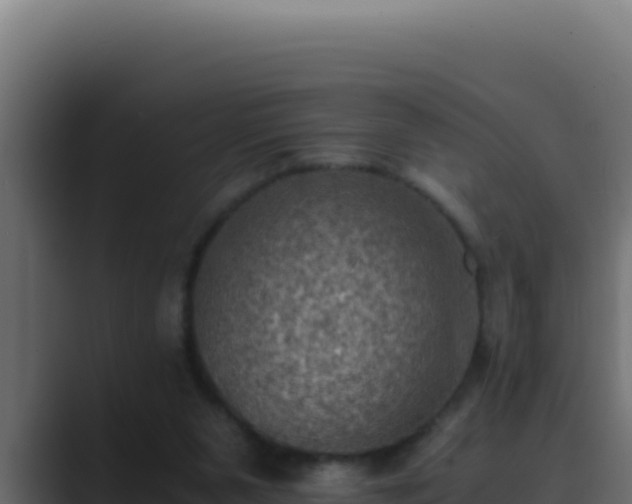 X0000089690111200706281423