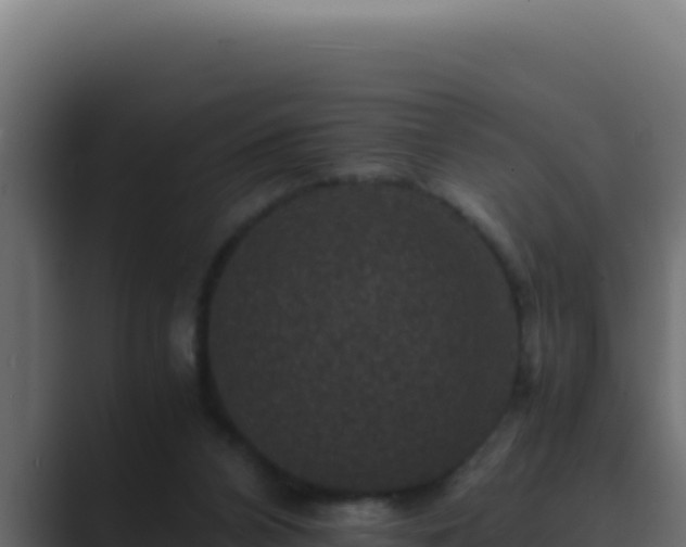 X0000089690112200706281423