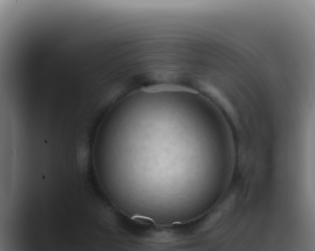 X0000089690113200706281423