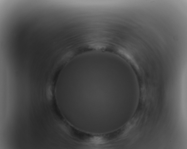 X0000089690114200706281423