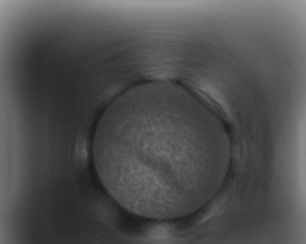 X0000089690115200706281423