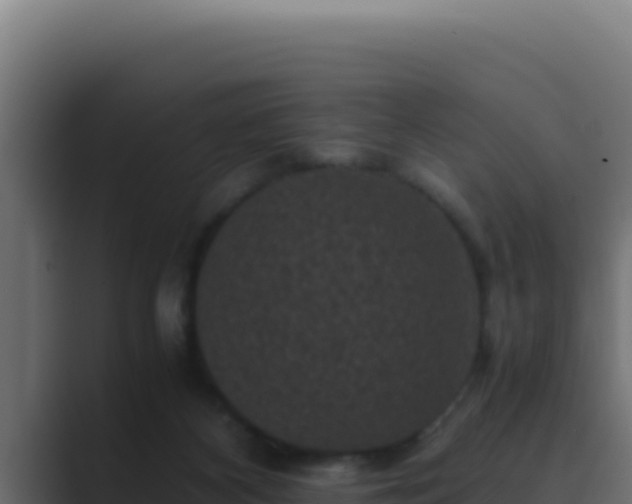 X0000089690116200706281422