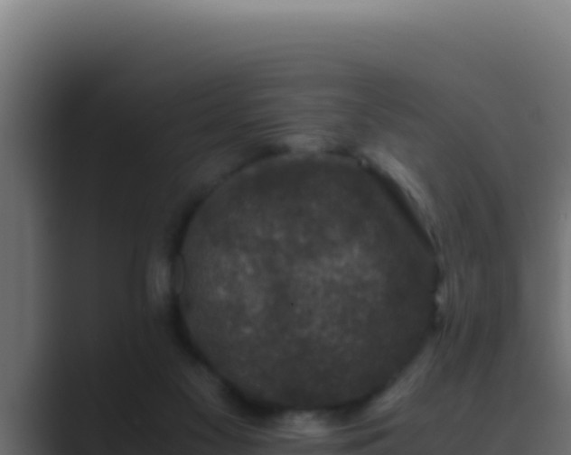 X0000089690117200706281422