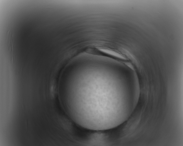 X0000089690119200706281422