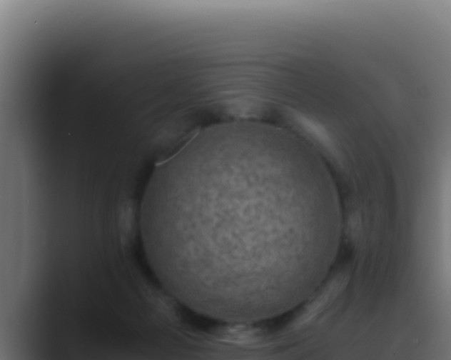 X0000089690121200706281422