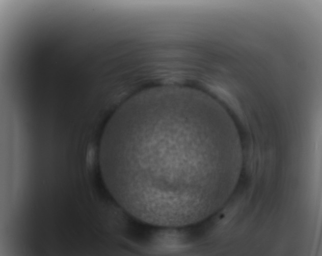 X0000089690123200706281422