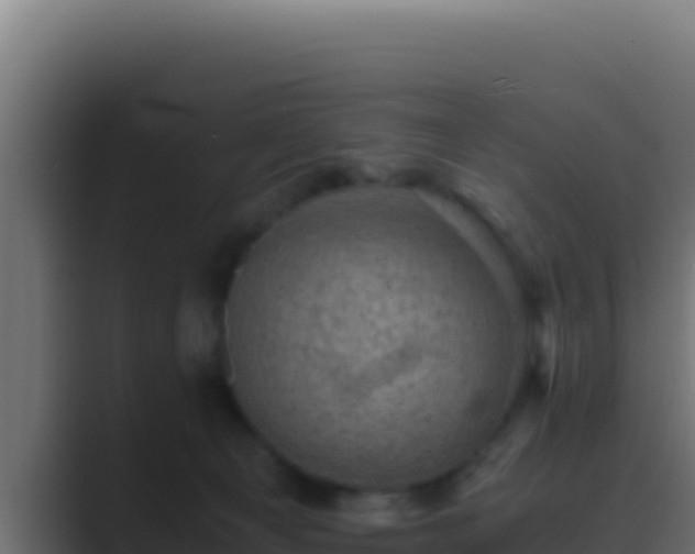 X0000089690129200706281422