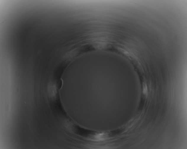 X0000089690130200706281422