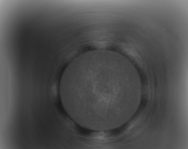 X0000089690131200706281422