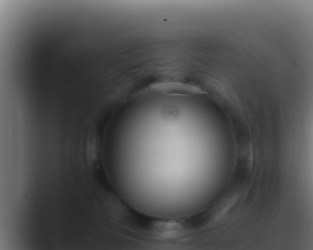 X0000089690133200706281422