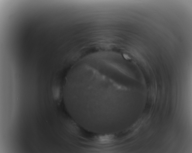 X0000089690134200706281422