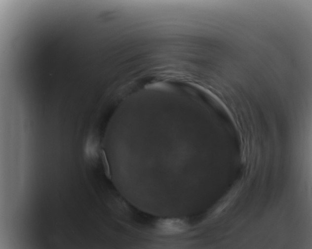 X0000089690137200706281422