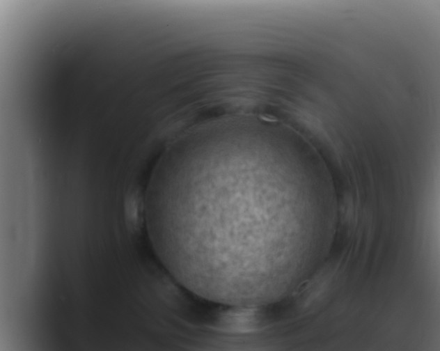 X0000089690138200706281422