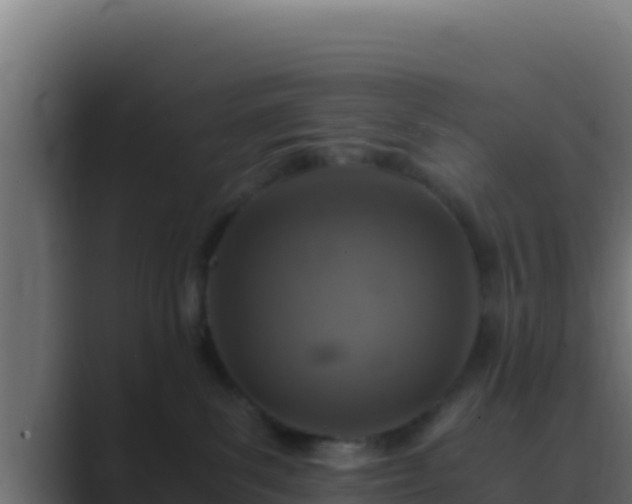 X0000089690139200706281422