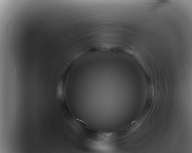 X0000089690143200706281422