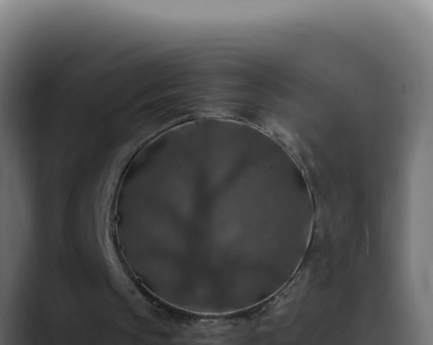 X0000089690145200706281422