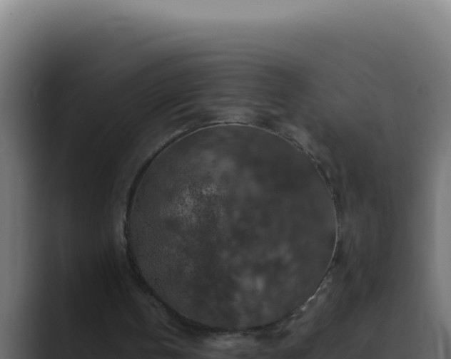 X0000089690146200706281422