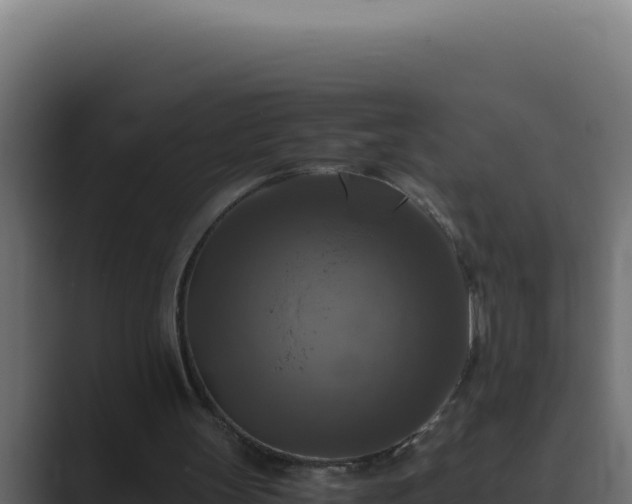 X0000089690147200706281422