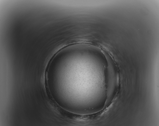 X0000089690148200706281422