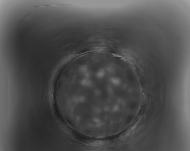 X0000089690149200706281422