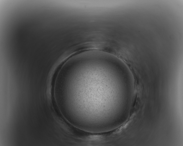 X0000089690150200706281422