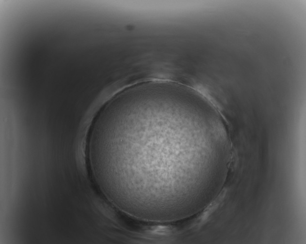 X0000089690151200706281422