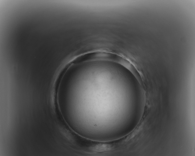 X0000089690152200706281422