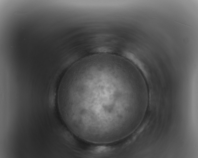 X0000089690153200706281422