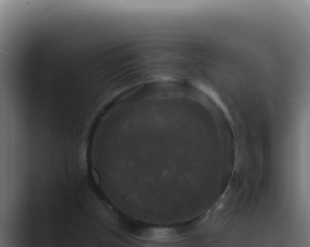 X0000089690154200706281422