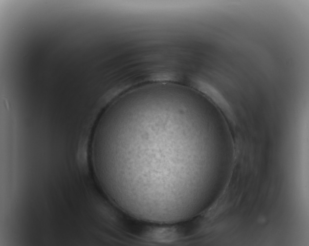 X0000089690155200706281422