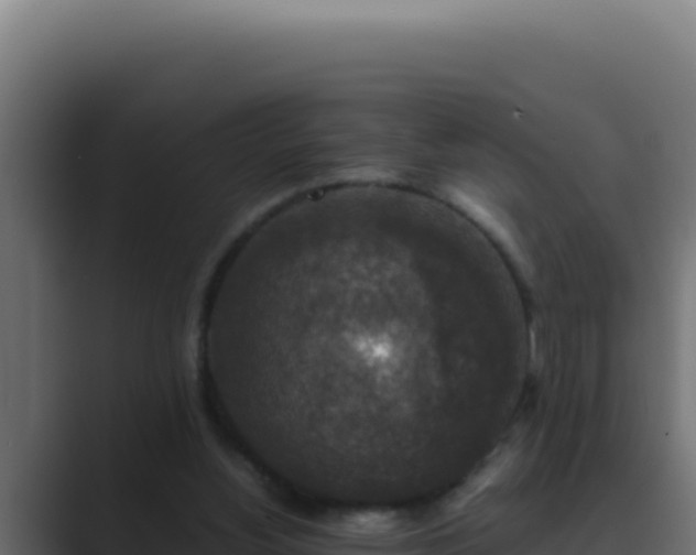 X0000089690156200706281422