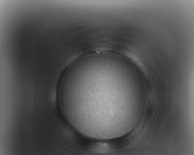 X0000089690159200706281422