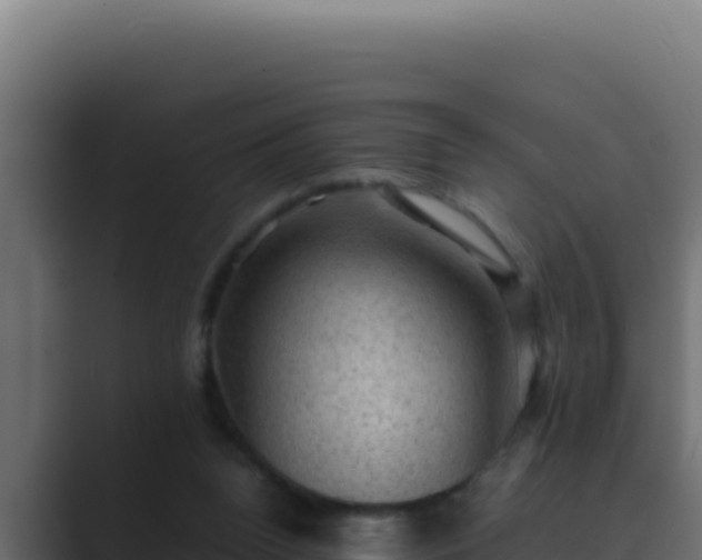 X0000089690160200706281422