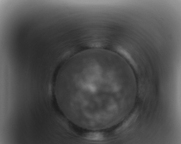 X0000089690161200706281422