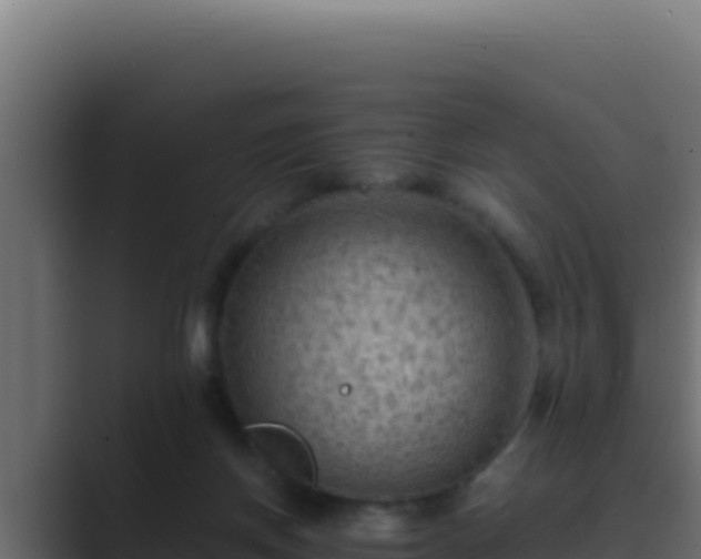 X0000089690166200706281422