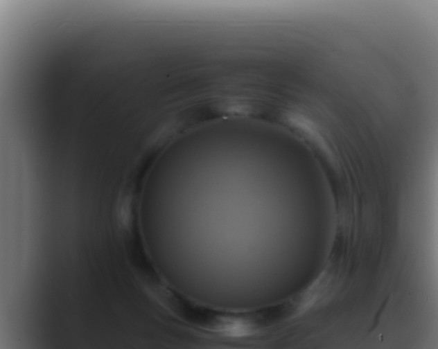 X0000089690167200706281422