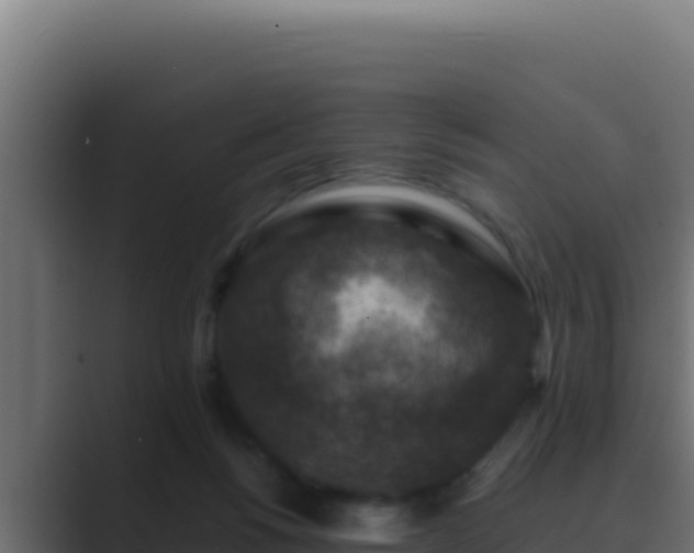 X0000089690168200706281422