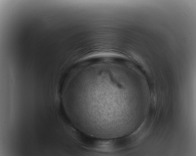 X0000089690170200706281422