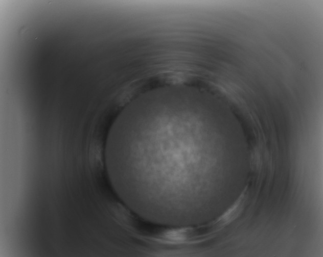 X0000089690178200706281422