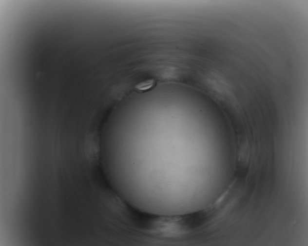 X0000089690179200706281422