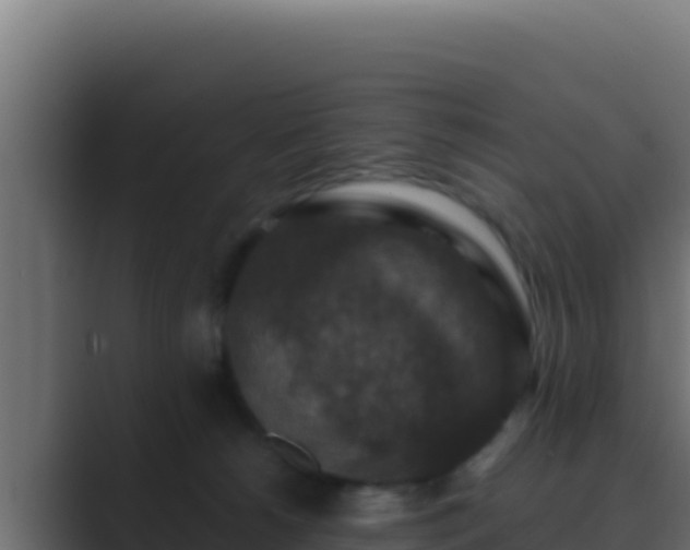 X0000089690180200706281422